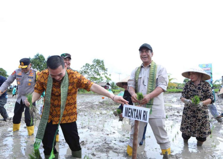 Kunjungan Maraton Mentan Optimalkan 540 Ribu Hektare Sawah di Kalimantan